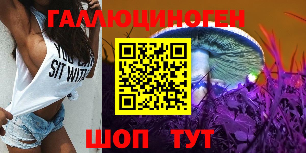 Галлюциногенные грибы Psilocybe Симферополь