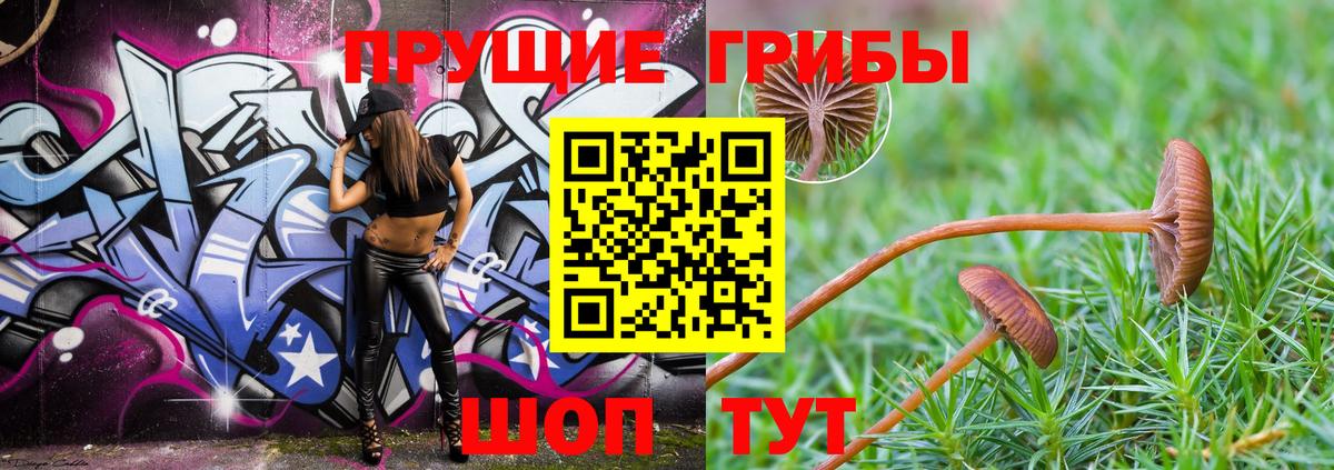 Псилоцибиновые грибы MAGIC MUSHROOMS  Вход с VPN  Симферополь 